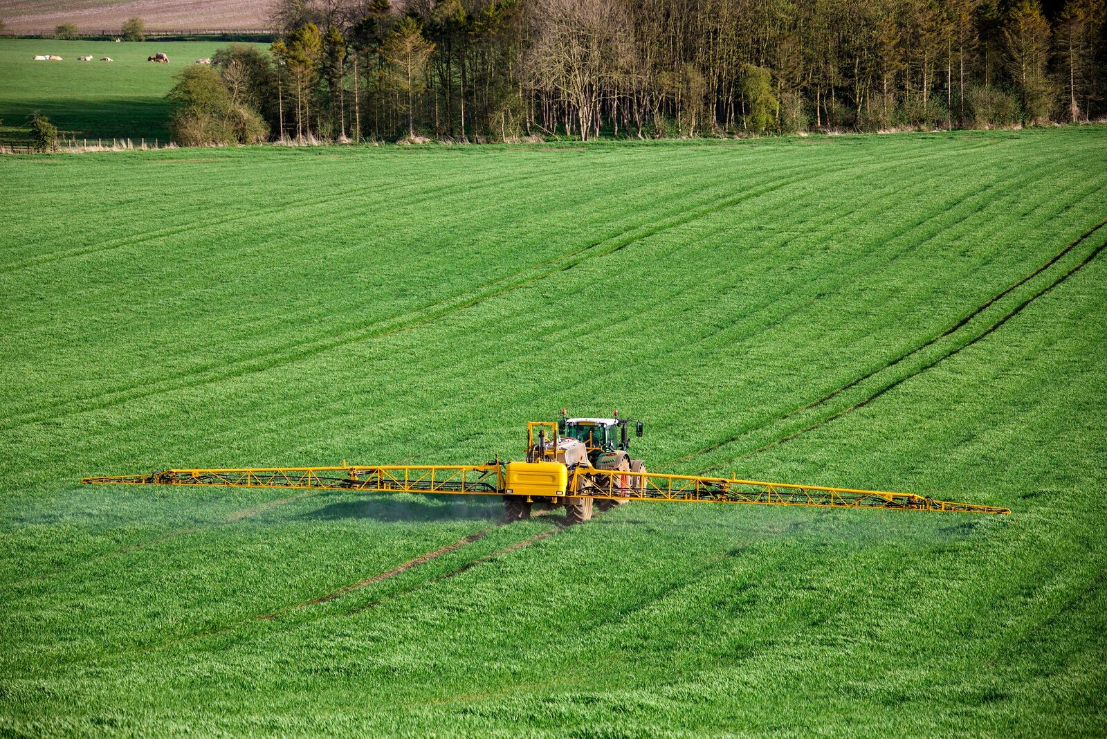 Agricultural crop sprayer working a green field