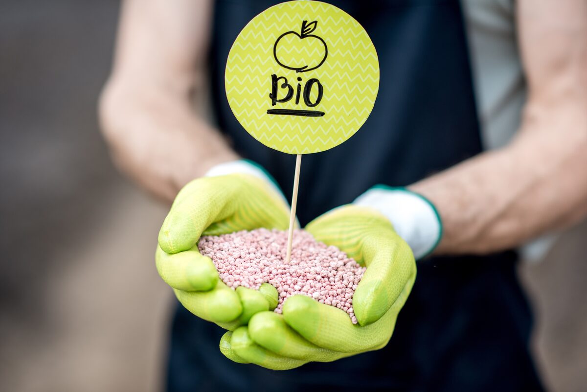 Hands holding bio mineral fertilizer granules